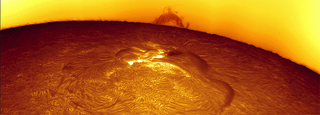 Illustration for article titled Solar Eruptions Captured By DiY Astronomer